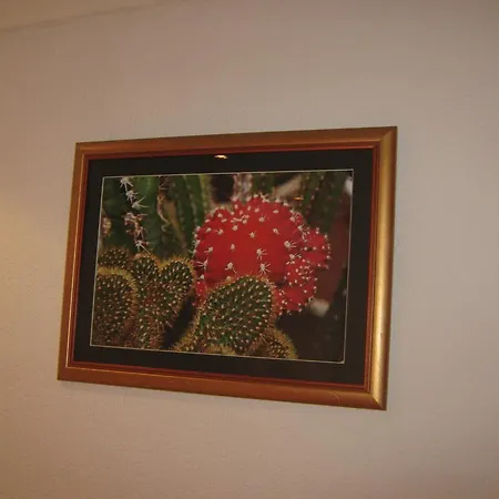 Apartment Vistanova Vrdnik Room photo