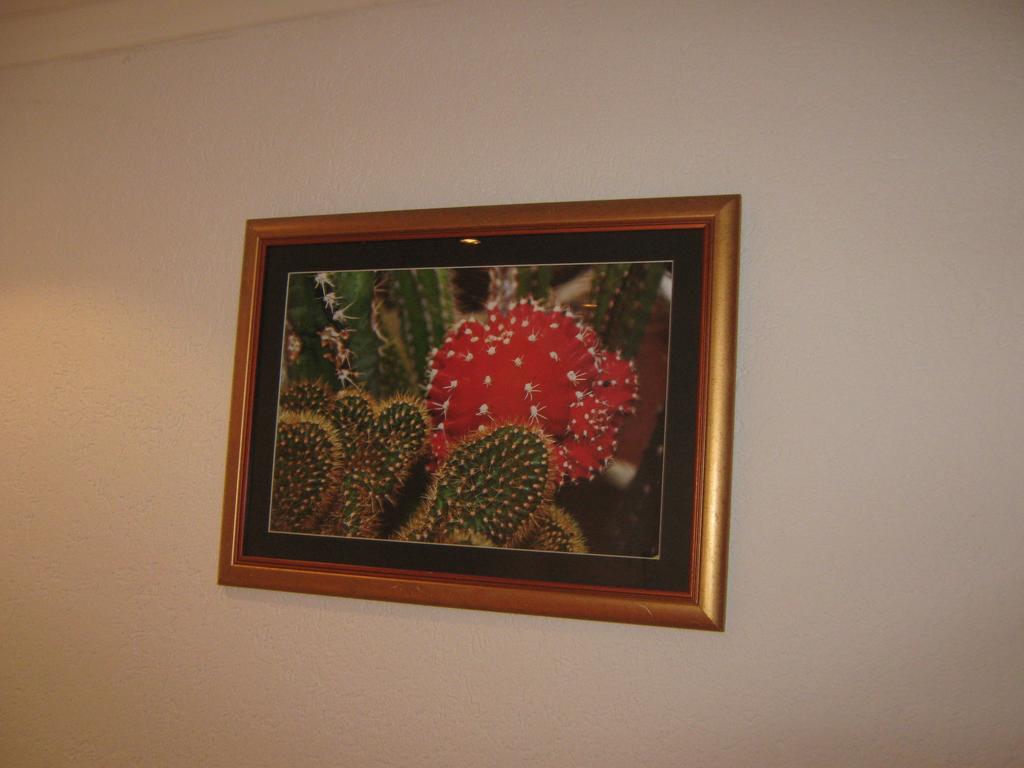 Vistanova Apartment Vrdnik